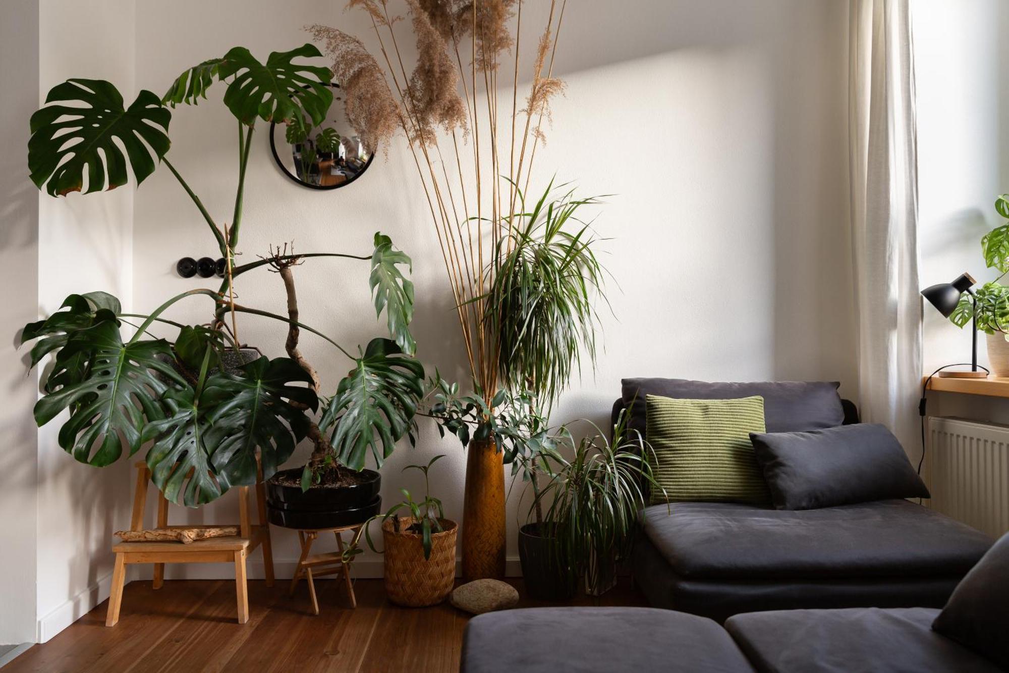 ברטיסלאבה Evergreen - Old Town Spacious Stylish Apartment With Ac And One And A Half Bath, Baby & Kid- Friendly מראה חיצוני תמונה