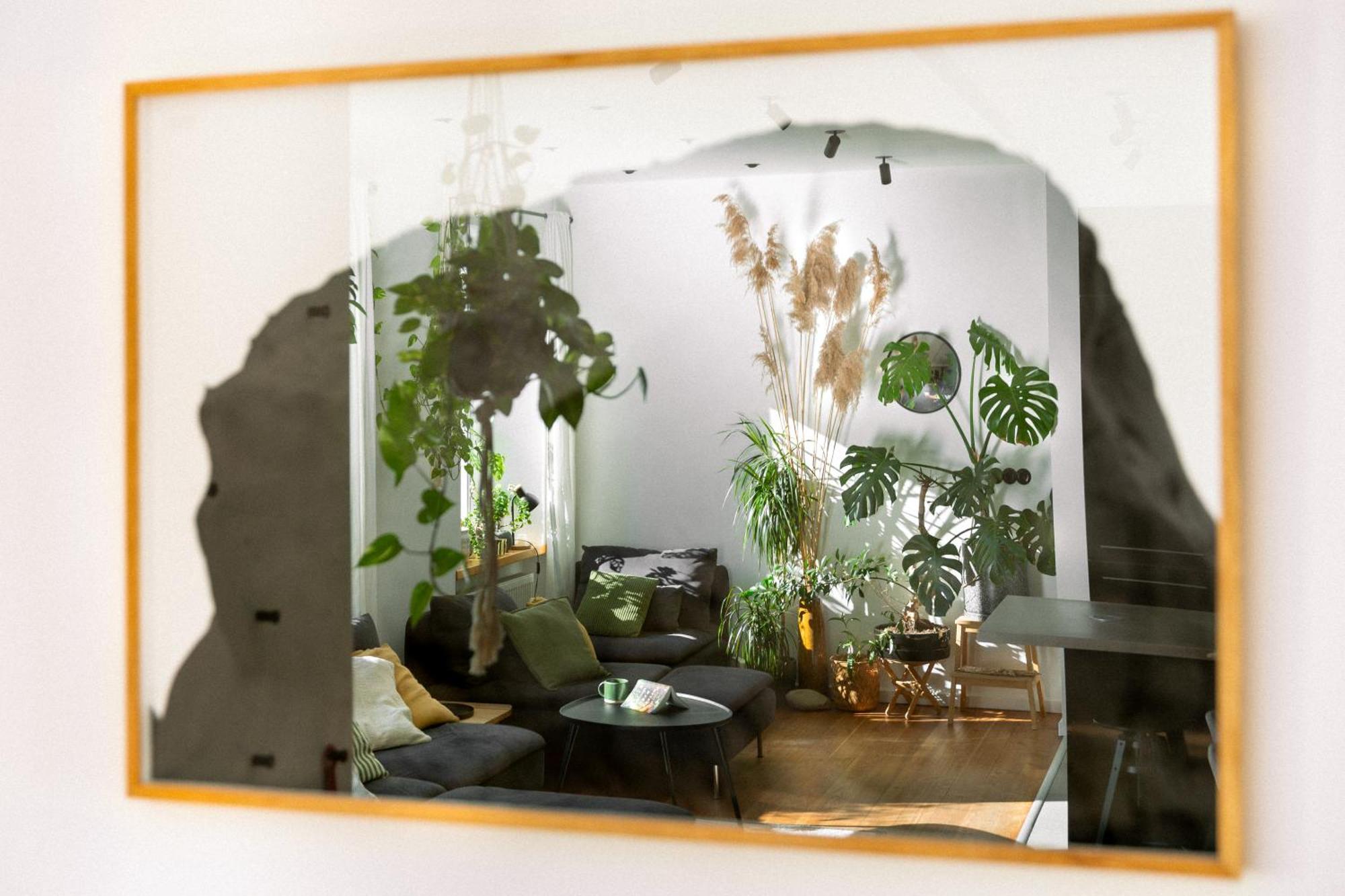 ברטיסלאבה Evergreen - Old Town Spacious Stylish Apartment With Ac And One And A Half Bath, Baby & Kid- Friendly מראה חיצוני תמונה